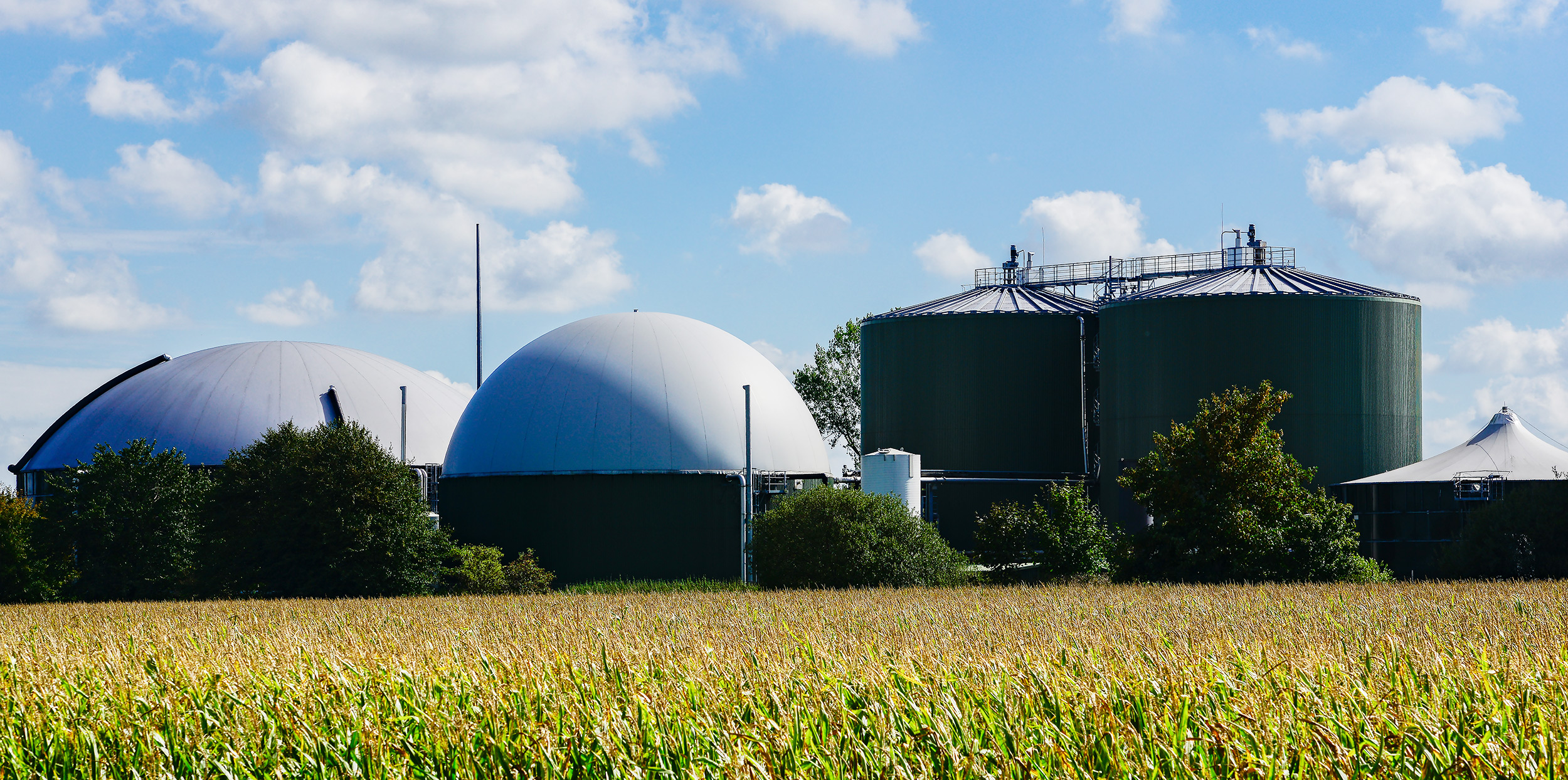 Biogas Analage